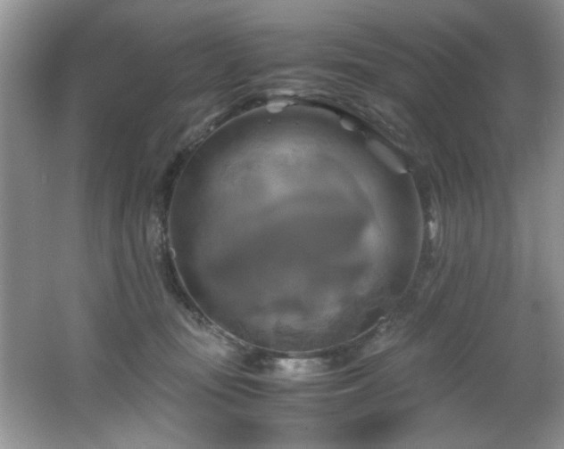 X0000066000371200603061329