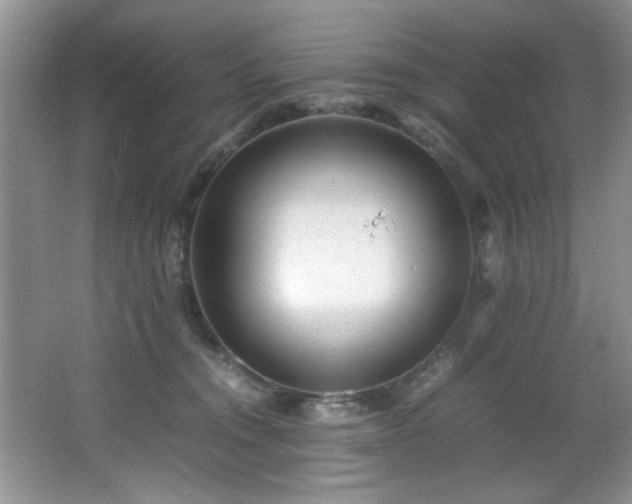 X0000066000372200603061329