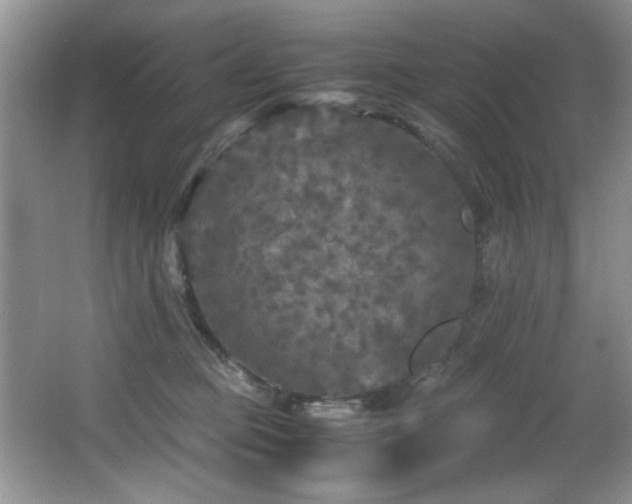 X0000066000373200603061330