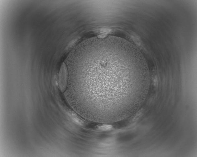 X0000066000374200603061330