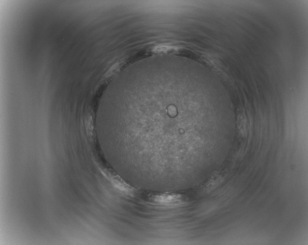 X0000066000375200603061330