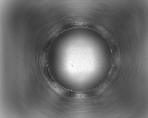 X0000066000376200603061330