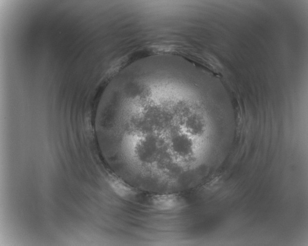 X0000066000377200603061330