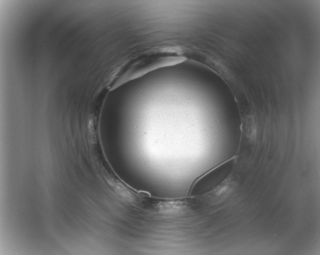 X0000066000378200603061330