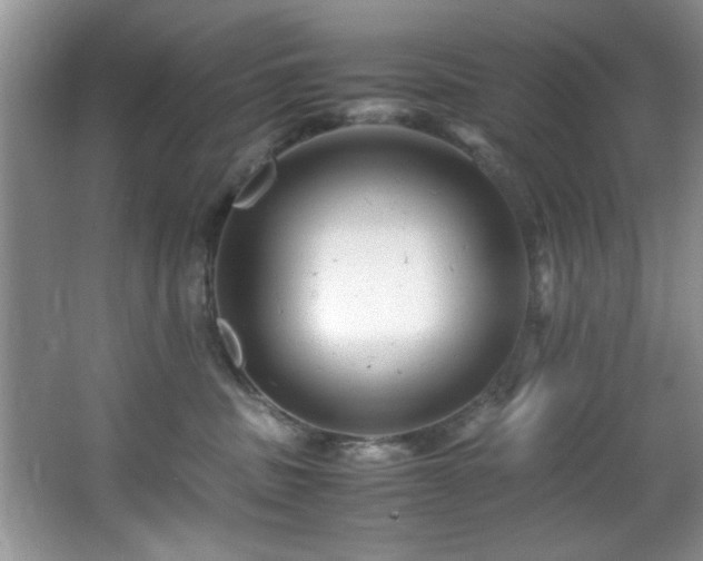 X0000066000379200603061330