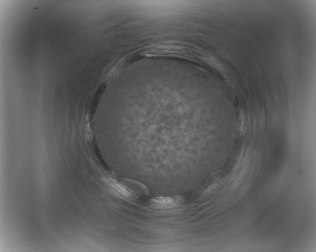 X0000066000381200603061330