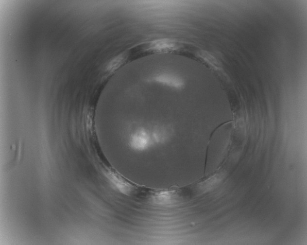 X0000066000382200603061330