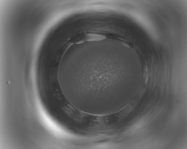 X0000066000383200603061330