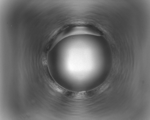 X0000066000384200603061330