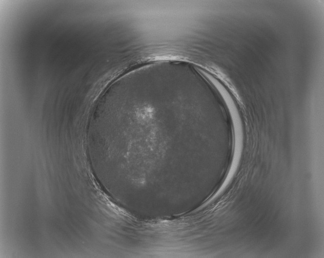 X0000066000385200603061329