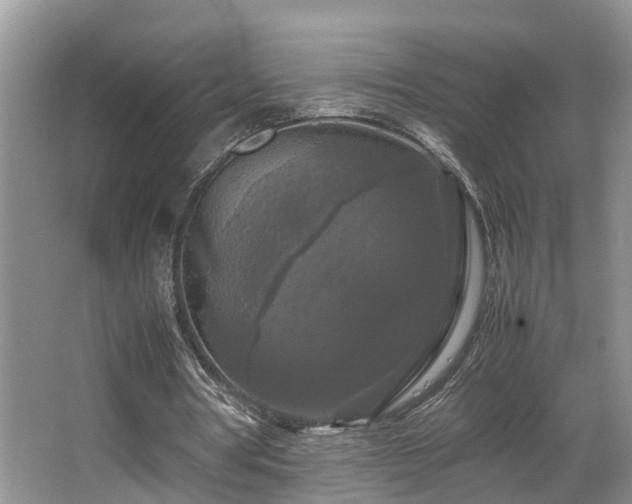 X0000066000386200603061329