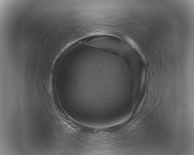 X0000066000387200603061329