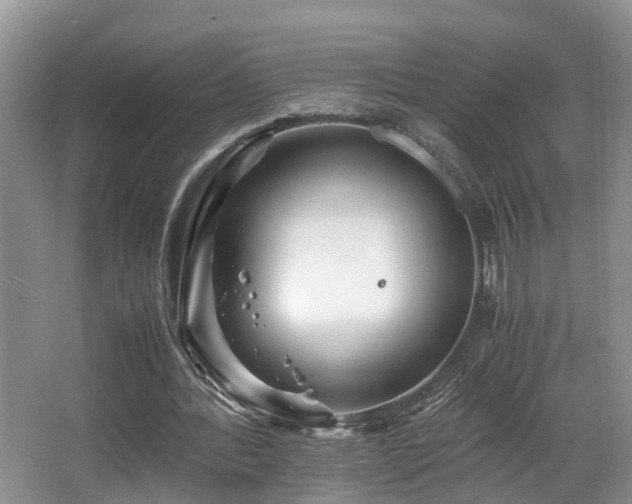 X0000066000388200603061329