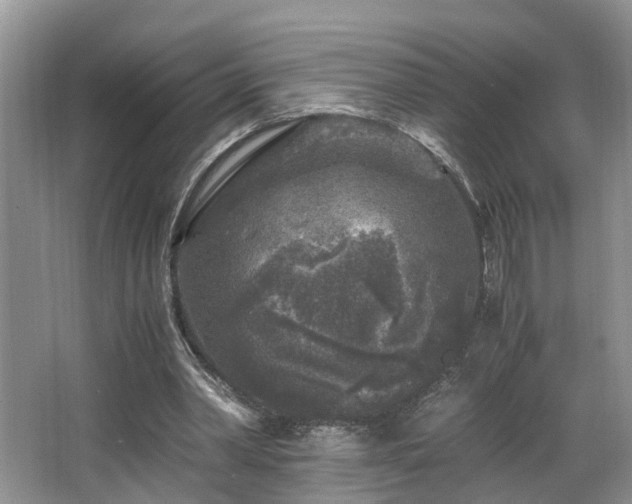 X0000066000390200603061329