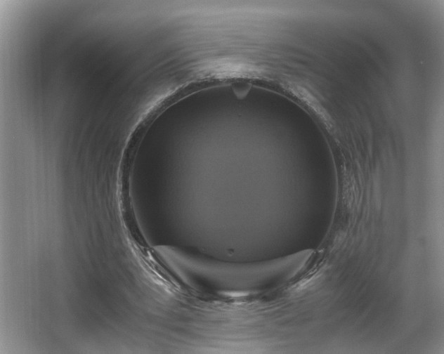 X0000066000391200603061329