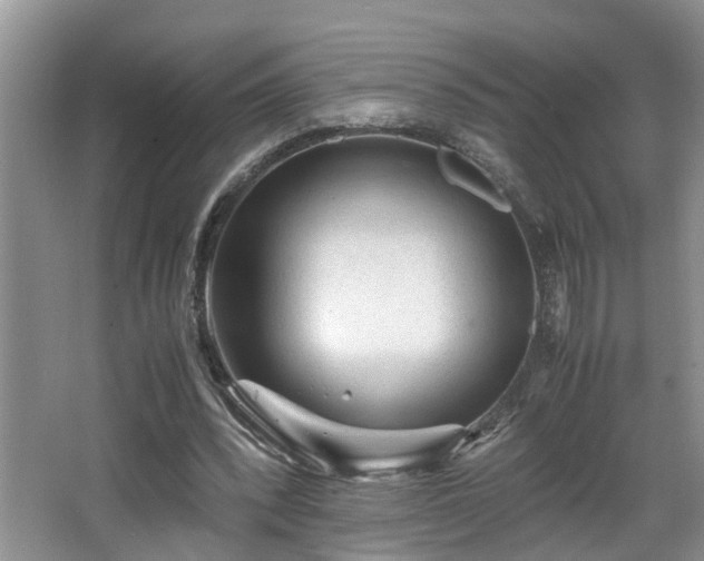 X0000066000392200603061329