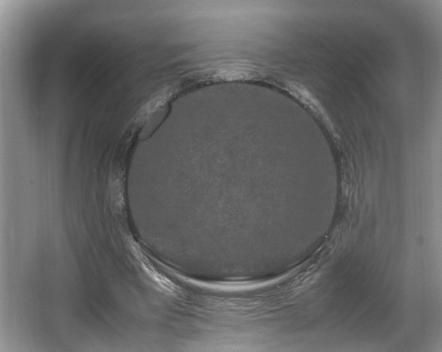 X0000066000393200603061329