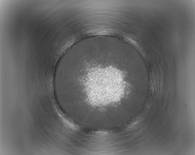 X0000066000394200603061329