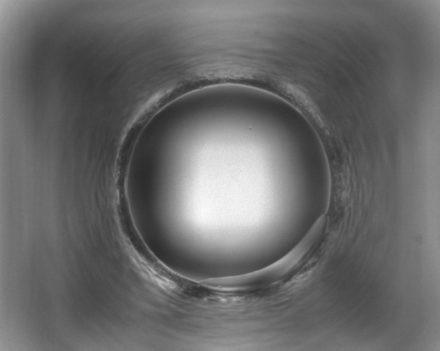 X0000066000395200603061329