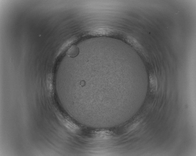 X0000066000396200603061329