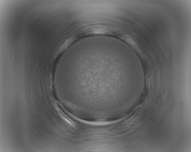 X0000066000397200603061329