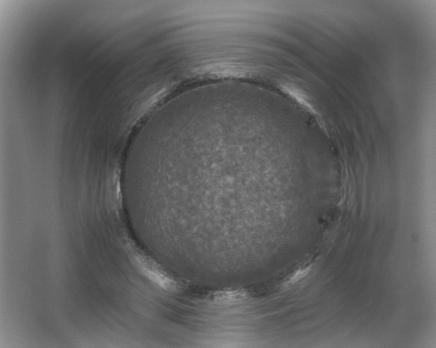 X0000066000398200603061329