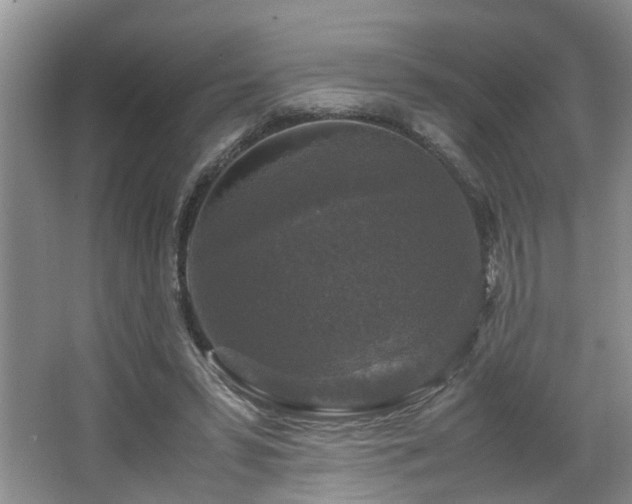 X0000066000399200603061329