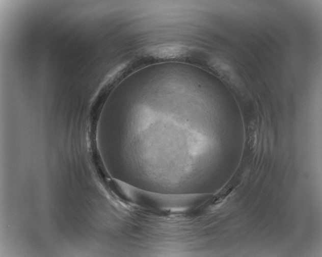 X0000066000400200603061329