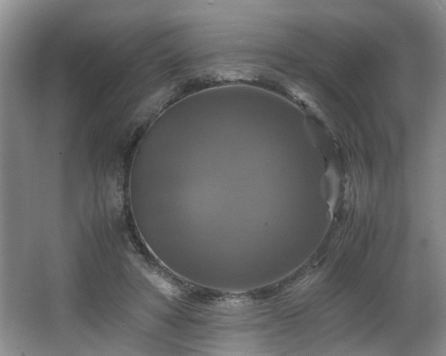 X0000066000402200603061329