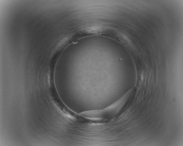 X0000066000404200603061329