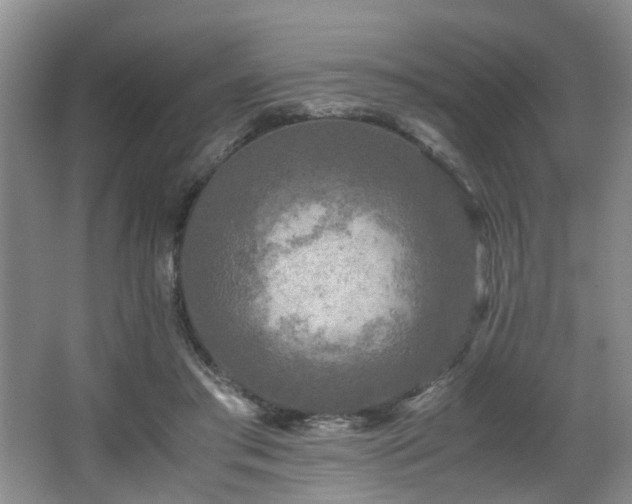 X0000066000405200603061329