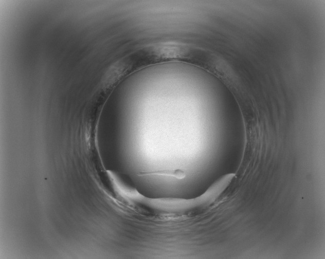 X0000066000406200603061329