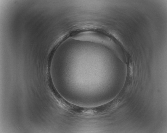 X0000066000407200603061329