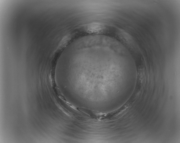 X0000066000408200603061329