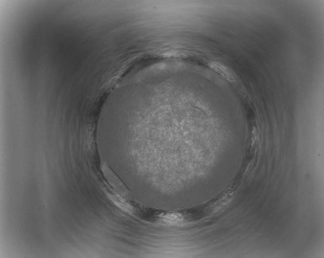 X0000066000409200603061328