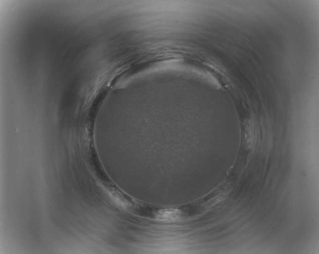 X0000066000410200603061328