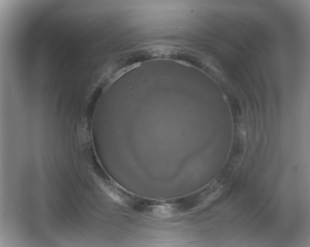 X0000066000411200603061328