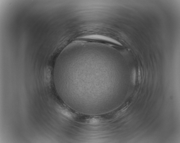 X0000066000412200603061328