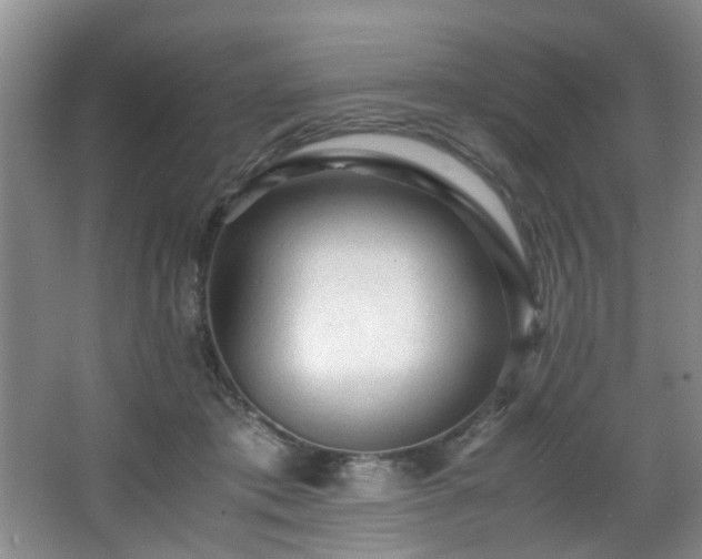 X0000066000413200603061328