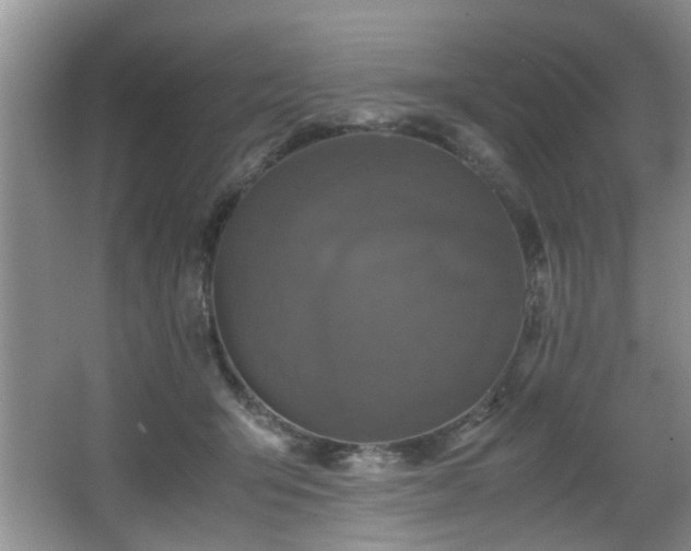 X0000066000415200603061328