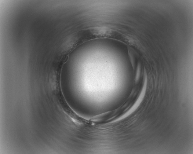 X0000066000416200603061328