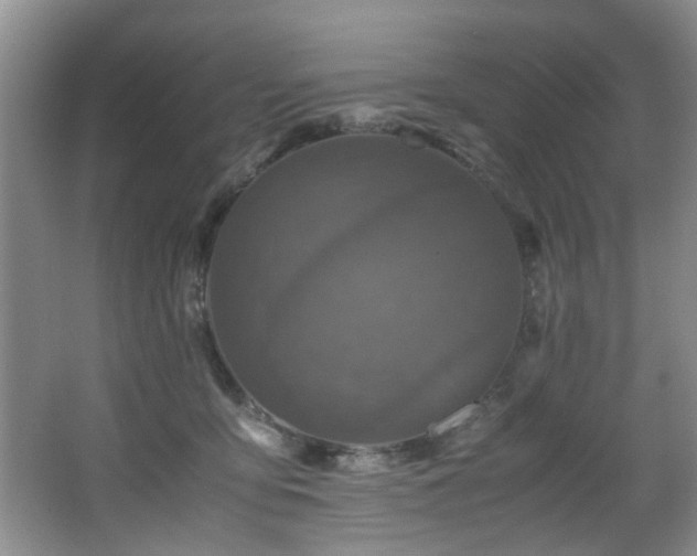 X0000066000419200603061328