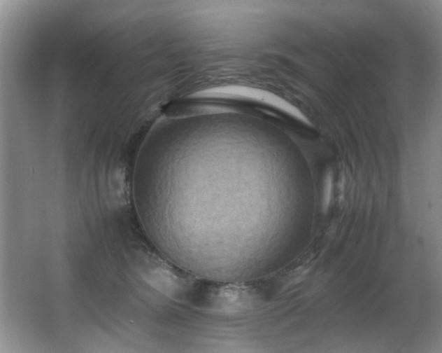 X0000066000420200603061328