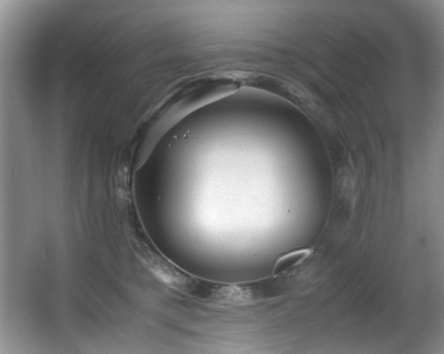 X0000066000421200603061328