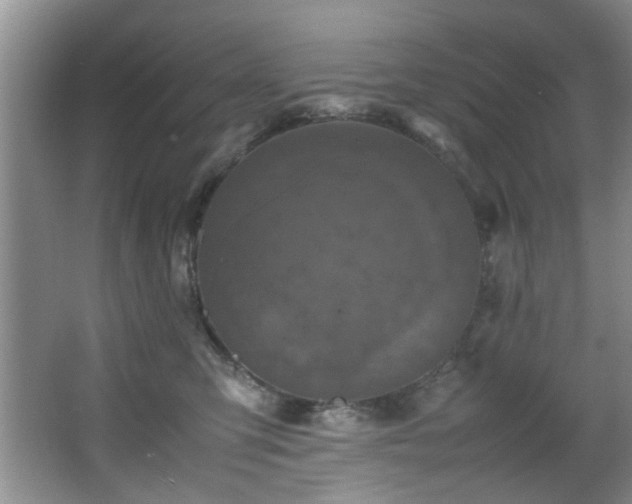 X0000066000423200603061328