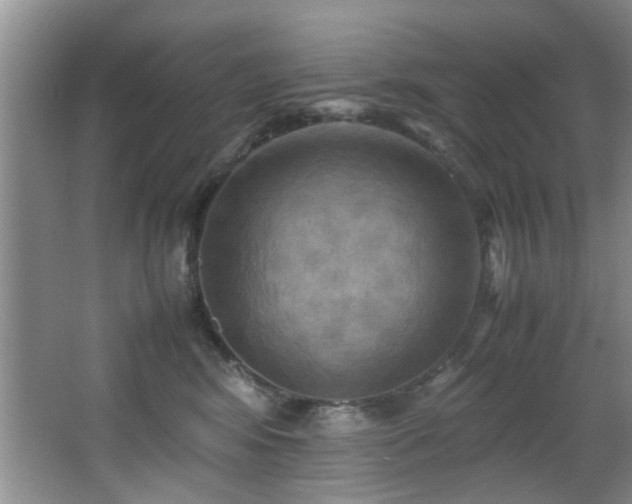 X0000066000424200603061328