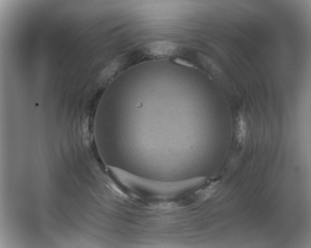 X0000066000428200603061328