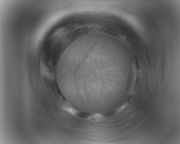 X0000066000431200603061328