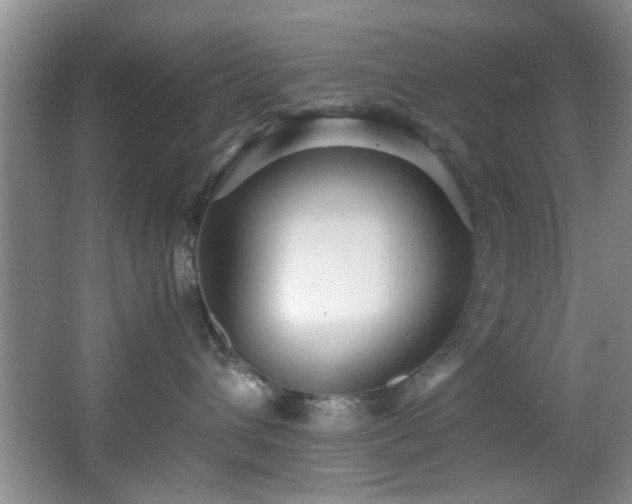 X0000066000432200603061328