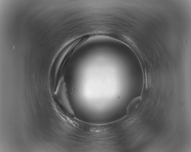 X0000066000435200603061327